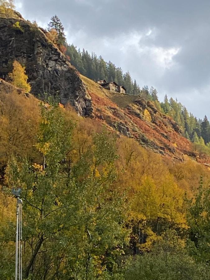 Baita Valtellina. Relax Nel Cuore Delle Alpi Гросио Екстериор снимка